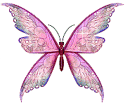 1000 Collection of Animated Picture - Gif Animated Butterflies